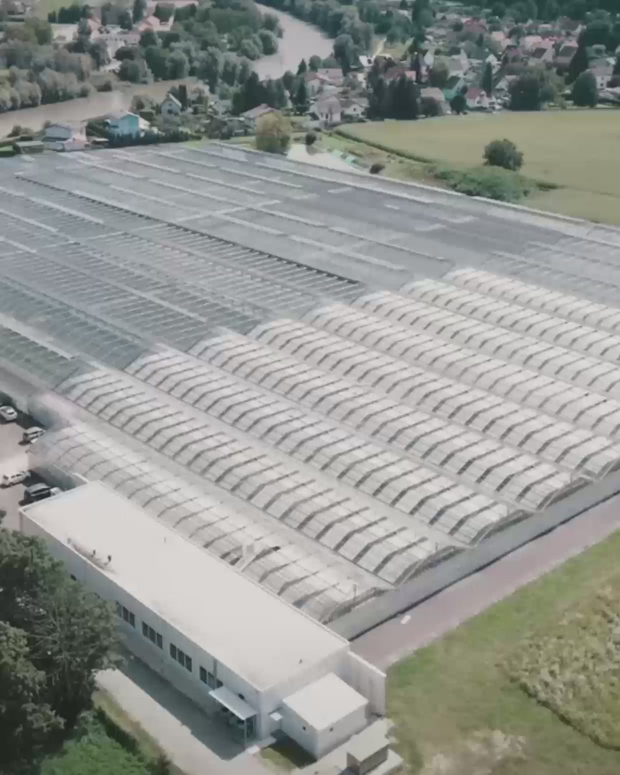 Video laden: Drohnenaufnahme der Produktionsstätte in Graz. Von oben gefilmte Gewächshäuser. Mitarbeiter inspizieren die Cannabis-Pflanzen. Am Ende ist ein Labor zu sehen, in dem das CBD aus den Pflanzen extrahiert wird.